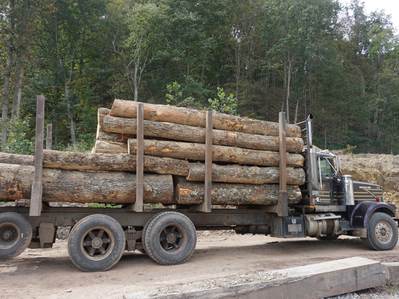 Logs on a truck